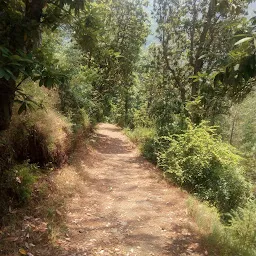 Nature Walking trail Glen Forest