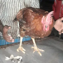 Naushad chicken shop
