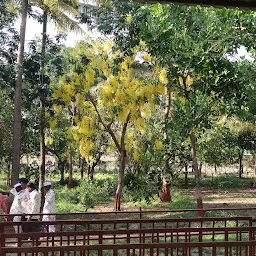 Navin Muktabai Temple