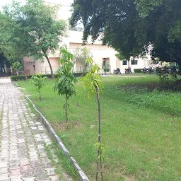 Navrachana University