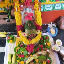 Navulu nagendra Swami putta
