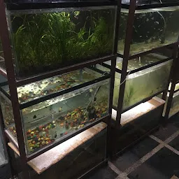 Navya Aquarium Fish Shop