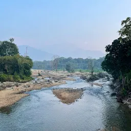 Nedumkayam Rain Forest