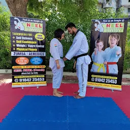 Neel's Taekwondo Training Academy