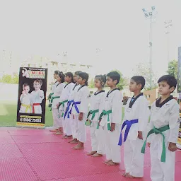 Neel's Taekwondo Training Academy