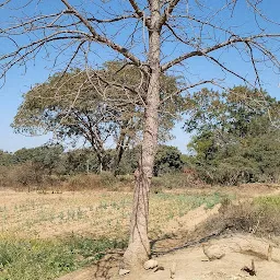 Neelkanth Van, Waddhamna, Nagpur