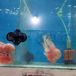 Neelsagar Aquarium