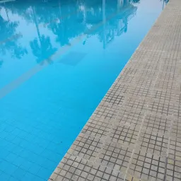 NEERI Employees Swimming pool