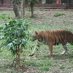 Nehru Zoological Park