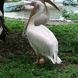 Nehru Zoological Park