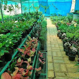 NejimRajan 786 green garden