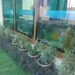 Ner fish aquarium