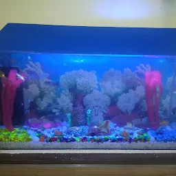 Ner fish aquarium