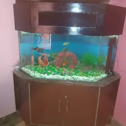 Ner fish aquarium