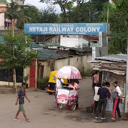 Netaji Railway Colony Gate