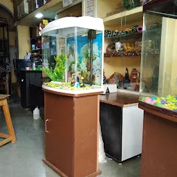 New Bhopal Fishes Aquarium