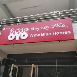 new bluehomes