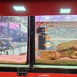 New Fancy Aquarium