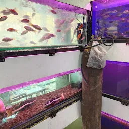 New Fancy Aquarium