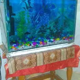 NEW FISH AQUARIUM WORLD JHANSI