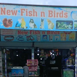 New Fish n Birds
