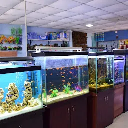 NEW KING AQUARIUM