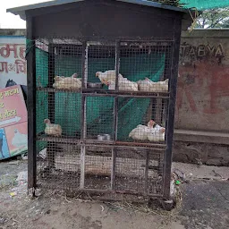 New Maharashtra Mutton & Chicken Center