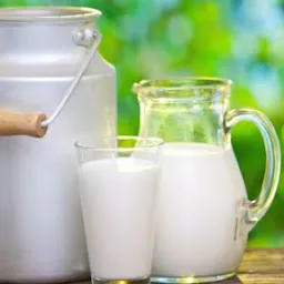 New Pawar Dairy