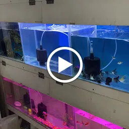 New Sai Fish World - Fish Aquarium In Dwarka - Dog Food Shop In Dwarka