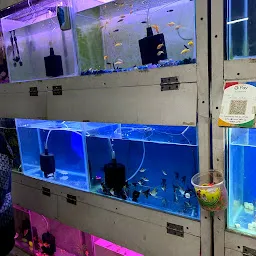 New Sai Fish World - Fish Aquarium In Dwarka - Dog Food Shop In Dwarka