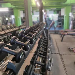 Next Level Gym