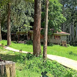 Ngadak Park