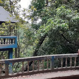 Ngaloi Waterfall