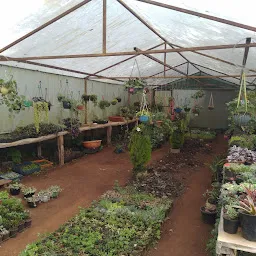 Nilgiri garden Nursery (Wholesale Farm)