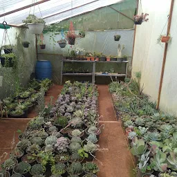 Nilgiri garden Nursery (Wholesale Farm)