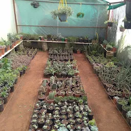 Nilgiri garden Nursery (Wholesale Farm)