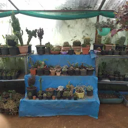 Nilgiri garden Nursery (Wholesale Farm)
