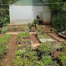 Nilgiri garden Nursery (Wholesale Farm)