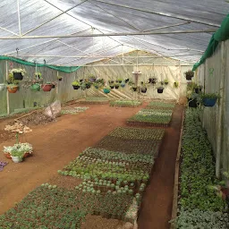 Nilgiri garden Nursery (Wholesale Farm)