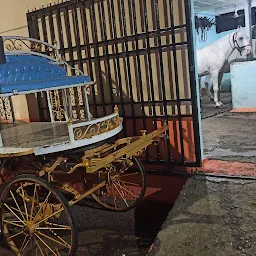 Nilpari Horse Carrio