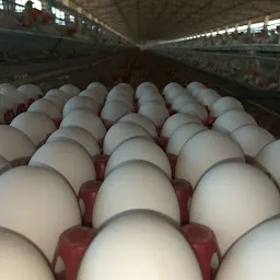 NIRMAL POULTRY FARMS