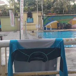 Nitro Gym Swimming Pool