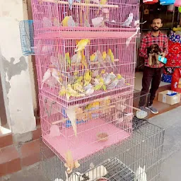 No 1 pet shop