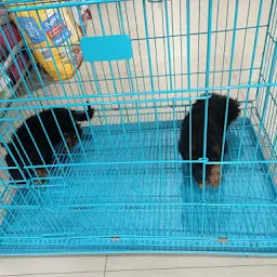 No 1 pet shop