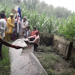 Nogja Peer Nanhera Tiptan