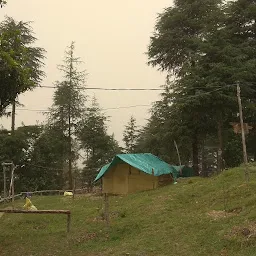 Nomad Village Shimla