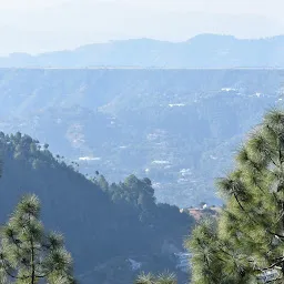 Nomad Village Shimla