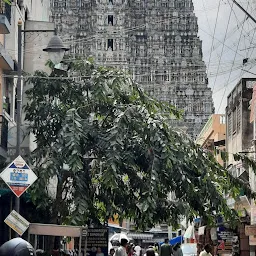 North Tower, Arulmigu Meenakshi Amman Temple