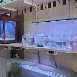 Novelty Aquariums - Best Aquarium shop / Fish Food shop / Aquarium accessories