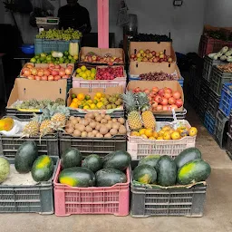 NS Fruits & Vegetables
